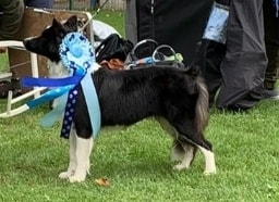 476650918_656792996917203_8442862418091358183_n